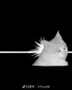 Profile picture for user hzhdev